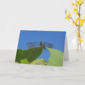 Sluiting van een libellen tegen een heldere blauwe kaart (Gele Bloem)