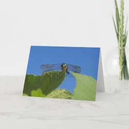 Sluiting van een libellen tegen een heldere blauwe kaart