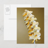 Sluiting van een medisch model van de wervels van  briefkaart (Voorkant / Achterkant)