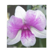 sluiting van een mooie paarse en witte orchidee notitieblok (Voorkant)