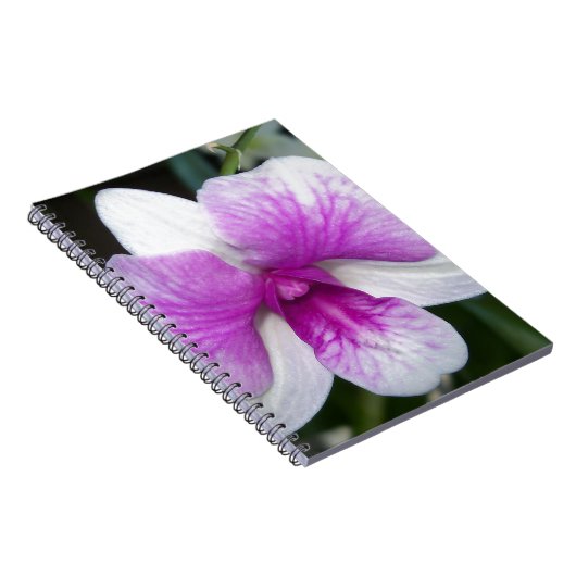 sluiting van een mooie paarse en witte orchidee notitieboek (Rechterzijde)