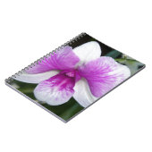 sluiting van een mooie paarse en witte orchidee notitieboek (Linkerzijde)