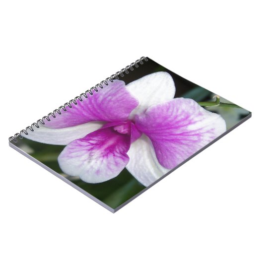sluiting van een mooie paarse en witte orchidee notitieboek (Linkerzijde)