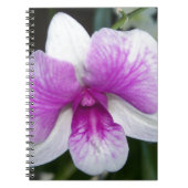 sluiting van een mooie paarse en witte orchidee notitieboek (Voorkant)