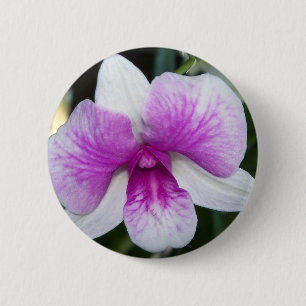 sluiting van een mooie paarse en witte orchidee ronde button 5,7 cm
