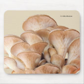 Sluiting van een oesterpaddenstoel muismat (Voorkant)