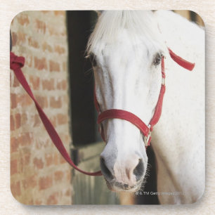 Sluiting van een paard 2 bier onderzetter