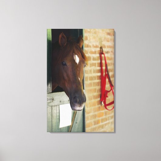 Sluiting van een paard 2 canvas afdruk (Voorkant)