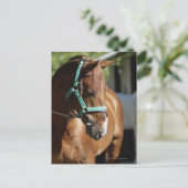 Sluiting van een paard 4 briefkaart (Staand voorkant)