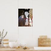 Sluiting van een paard dat vastzit in een stal poster (Keuken)