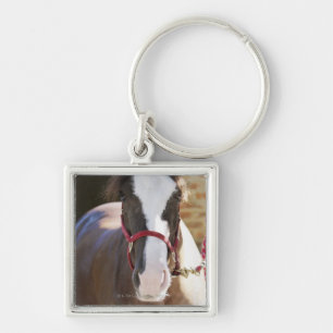 Sluiting van een paard dat vastzit in een stal sleutelhanger
