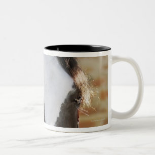 Sluiting van een paard dat vastzit in een stal tweekleurige koffiemok