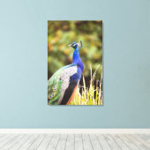 Sluiting van een pauw canvas afdruk (Insitu (Houten vloer))