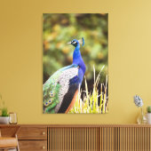 Sluiting van een pauw canvas afdruk (Insitu (Woonkamer))