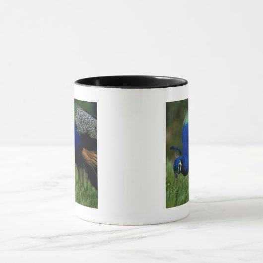 Sluiting van een pauw mok (Midden)