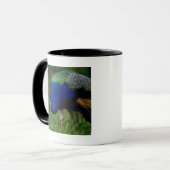 Sluiting van een pauw mok (Voorkant links)