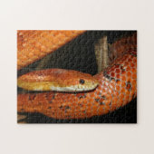 Sluiting van een Pet Corn Snake Legpuzzel (Horizontaal)