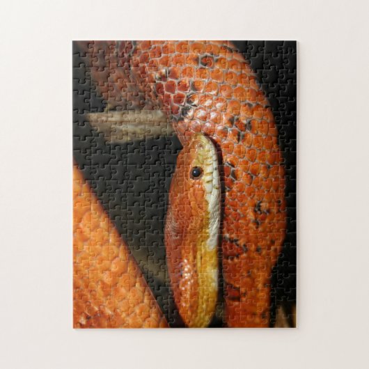 Sluiting van een Pet Corn Snake Legpuzzel (Verticaal)