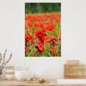 Sluiting van een Poppy-veld, Frankrijk Poster (Keuken)