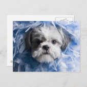 Sluiting van een puppy met veren briefkaart (Voorkant / Achterkant)