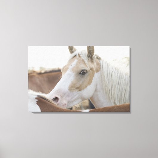 Sluiting van een rij paarden 2 canvas afdruk (Voorkant)
