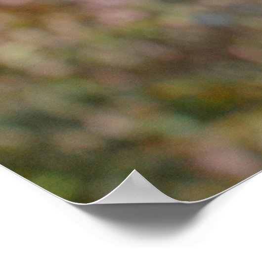 Sluiting van een schattige gouden honkpop poster (Hoek)