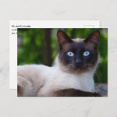 Sluiting van een Siamese kat met blauwe ogen Briefkaart (Voorkant / Achterkant)