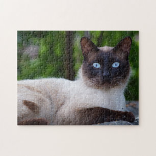 Sluiting van een Siamese kat met blauwe ogen Legpuzzel
