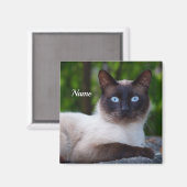 Sluiting van een Siamese kat met blauwe ogen Magneet (Voorkant / Achterkant)