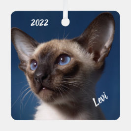 Sluiting van een Siamese kat met blauwe ogen Metalen Ornament