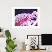 Sluiting van een spinkrab poster (Thuiskantoor)