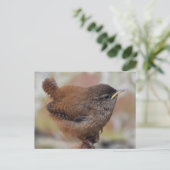 Sluiting van een stuitende jonge vrouw briefkaart (Staand voorkant)