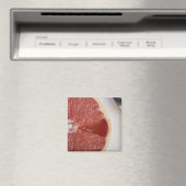 Sluiting van een stuk sinaasappel en een lepel magneet (Insitu (Vaatwasser))