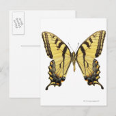 Sluiting van een vlinder 2 briefkaart (Voorkant / Achterkant)