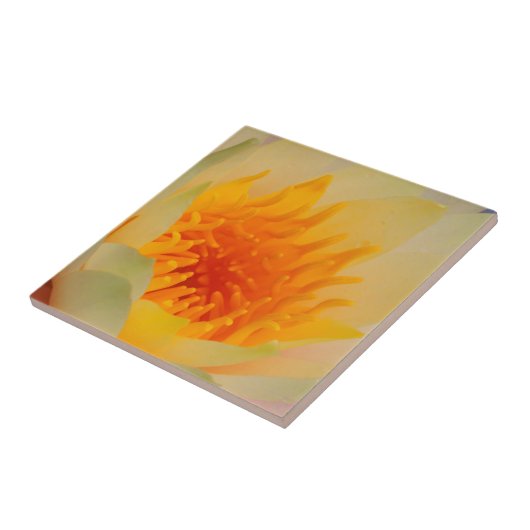 Sluiting van een waterLily Tegeltje (Zijkant)