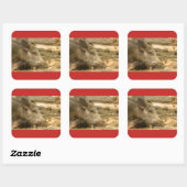 sluiting van een wilde boarSquare Stickers Glos (Vel)