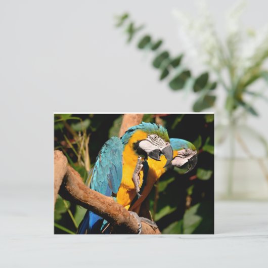 Sluiting van gelbbrustermauwen op de tak feestdagenkaart (Staand voorkant)