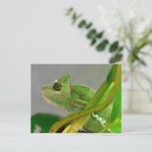 Sluiting van gesluierde kameleon onder planten briefkaart (Staand voorkant)