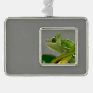 Sluiting van gesluierde kameleon onder planten verzilverd omlijst ornament