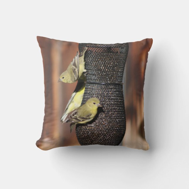 Sluiting van goudvinken op de invoer van vogels kussen (Voorkant)