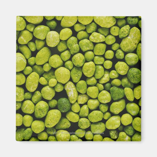 Sluiting van groene kieuwen magneet (Voorkant)