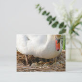 Sluiting van het Briefkaart van Swan (Staand voorkant)