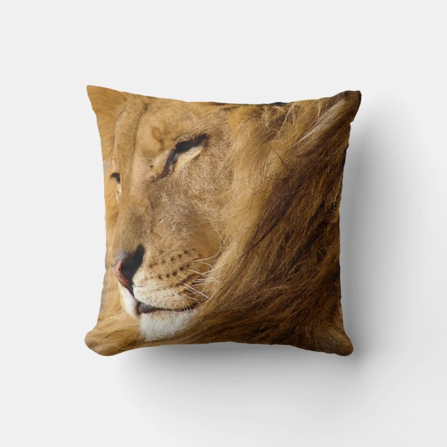 Sluiting van het gezicht van Male Lion Kussen (Voorkant)