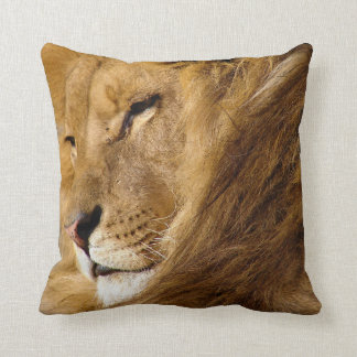 Sluiting van het gezicht van Male Lion Kussen