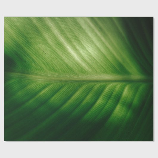 Sluiting van het groene blad cadeaupapier (Vlak)