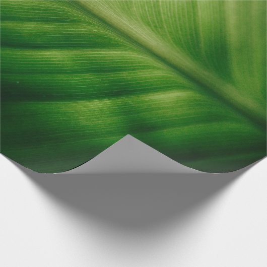 Sluiting van het groene blad cadeaupapier (Hoek)