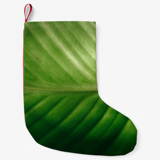 Sluiting van het groene blad kleine kerstsok (Voorkant)