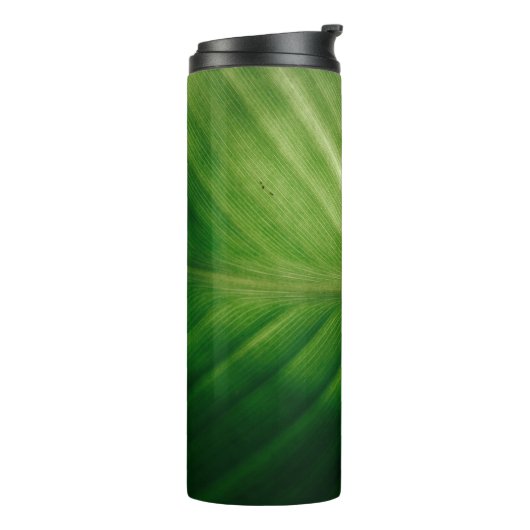 Sluiting van het groene blad thermosbeker (Gedraaid links)