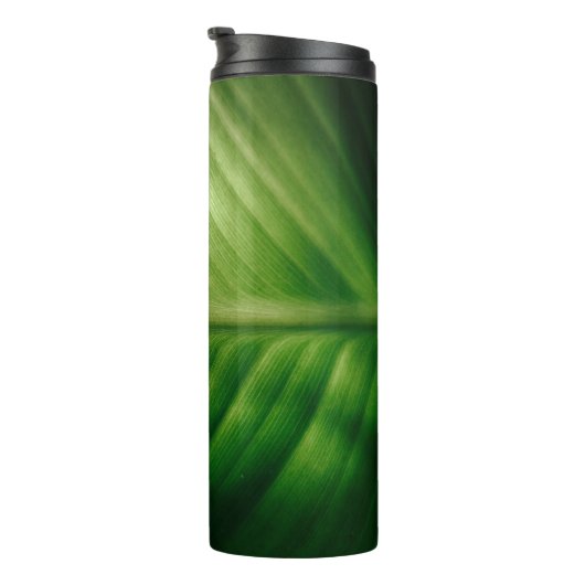 Sluiting van het groene blad thermosbeker (Geroteerd rechts)