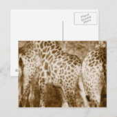 Sluiting van het nationale park van de Giraffe Kru Briefkaart (Voorkant / Achterkant)